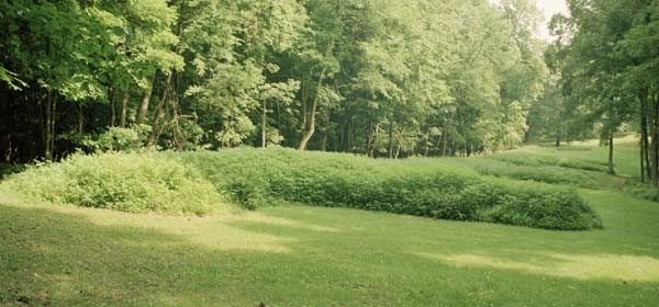effigy-mounds-18.jpg